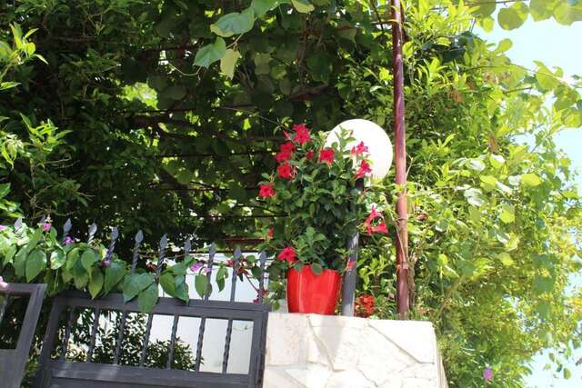 Гостевой дом Apartments Gazi Улцинь-25